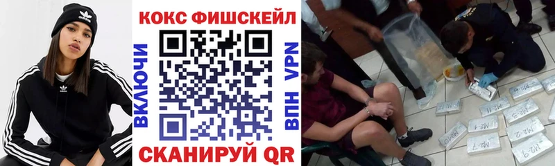 COCAIN Fish Scale Купить закладки Новоаннинский