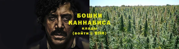 ECSTASY Ладушкин