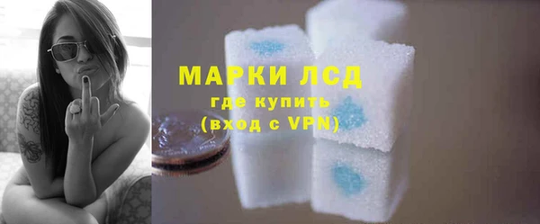 ECSTASY Ладушкин