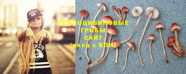 ECSTASY Ладушкин
