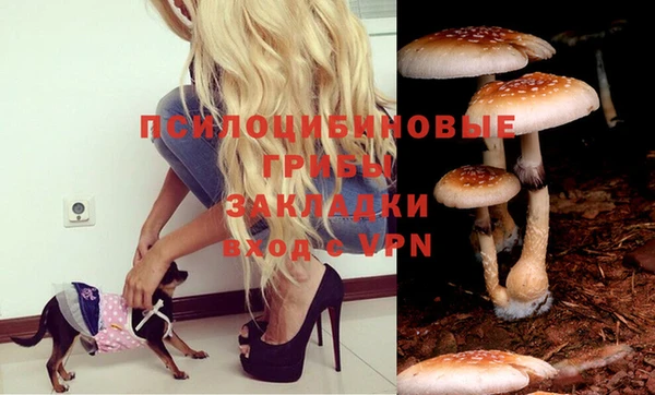 кокаин колумбия Лабытнанги