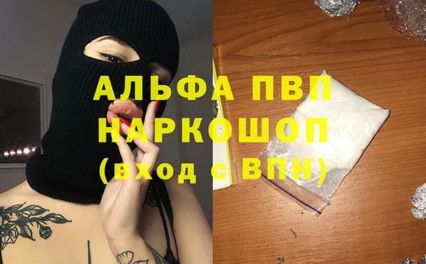 ECSTASY Ладушкин
